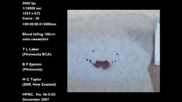 Laboratório Crime Forense Estuda Uma Queda Lenta Sangue Movimento Cair — Vídeo de Stock