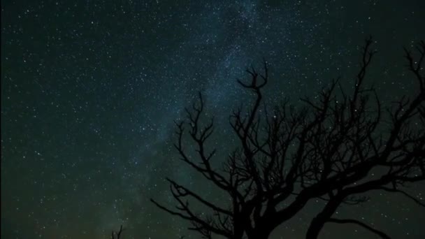 Lindo Pôr Sol Lapso Tempo Durante Uma Cena Noturna Deserto — Vídeo de Stock