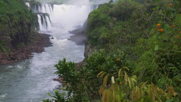 Zobacz Górę Rzeki Iguazu Gardła Diabła — Wideo stockowe