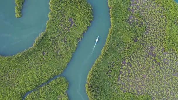 2020年 西アフリカのガンビア川沿いを航行中の小型ボートの空中トップダウン — ストック動画
