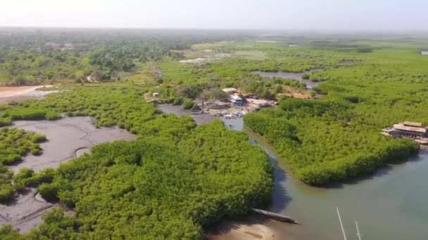 2020 Antenne Uitgestrekte Mangrove Moerassen Aan Rivier Gambia Gambia West — Stockvideo