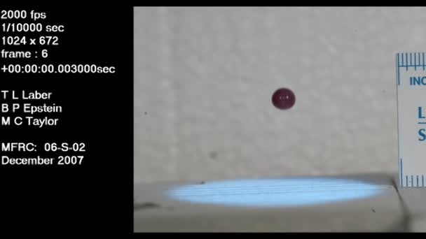 Laboratorio Forense Estudia Una Gota Sangre Cámara Lenta Que Cae — Vídeos de Stock