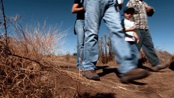 2015 Ranger Prowadzi Wycieczkę Zatoce San Francisco National Wildlife Refuge — Wideo stockowe