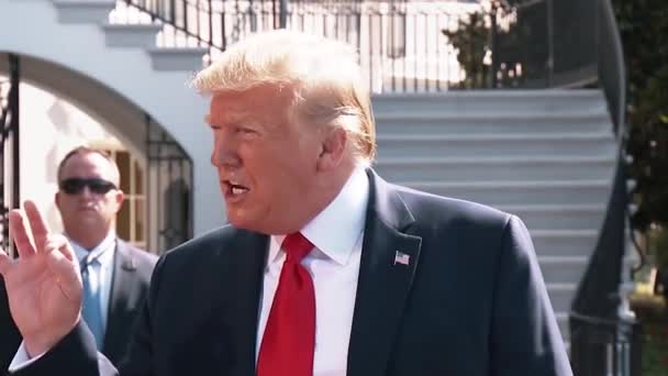 President Trump Says Hollywood Terrible Racist 2019 — Stock Video