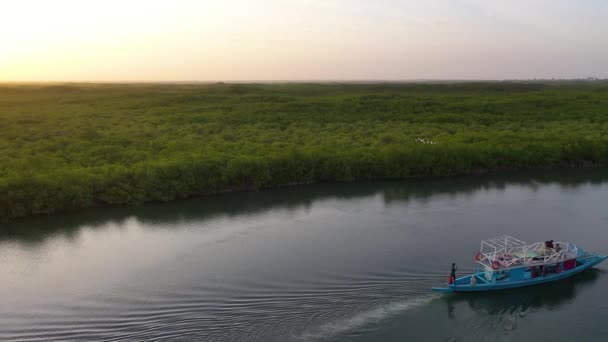 2020 Prachtige Antenne Kleine Boot Die Langs Gambia Rivier West — Stockvideo