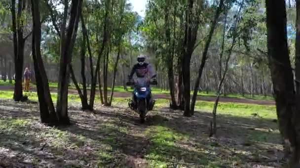 2020 Motociclista Motos Tierra Conduce Través Una Zona Forestal — Vídeos de Stock