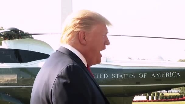 Președintele Trump Spune Vina Democrați Pentru Atacurile Armate Masă Din — Videoclip de stoc