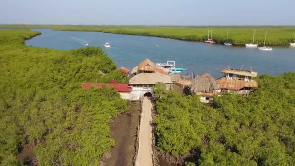 2020 Εναέρια Πάνω Από Απέραντους Βάλτους Μανγκρόουβ Στον Ποταμό Γκάμπια — Αρχείο Βίντεο