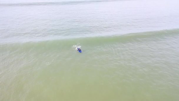 2020 波をキャッチし サーフィンに乗る男サーファーの無人航空機 — ストック動画
