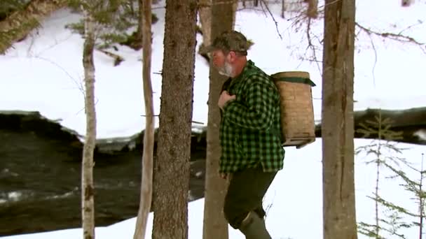 2015 Trapper Uses Snowshoes Move Alongside Wintry Creek Vermont — Stock Video