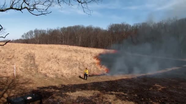 2015 Des Photographies Accéléré Montrent Incendie Contrôlé Cours Restauration Habitat — Video