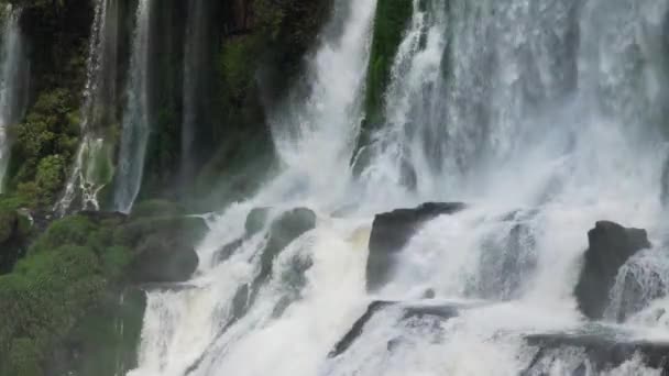 Kaskade Argentinas Parque Nacional Iguazu — Stockvideo