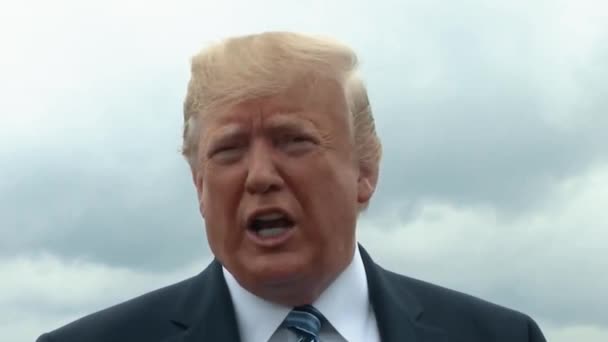 Prezydent Trump Mówi Mitch Mcconnell Chce Sprawdzić Przeszłość Broni 2019 — Wideo stockowe