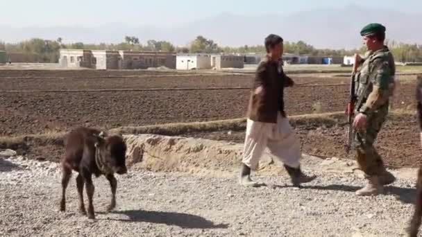 Afgan Çocuklar Afganistan Daki Savaş Sırasında Bir Köyden Geçerek Arandılar — Stok video