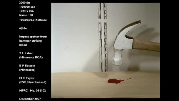 Forensics Crime Lab Studies Slow Motion Blood Splatter Caused Hammer — Stock Video