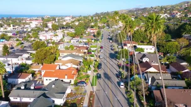 2020 コロナウイルスCovid 19流行の危機の間に人々が家にいるので 南カリフォルニアのヤシの木の通りの空中 — ストック動画