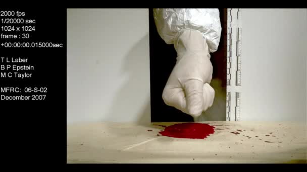 Криминалистическая Лаборатория Изучает Брызги Крови Вызванные Ударом Кулаком — стоковое видео