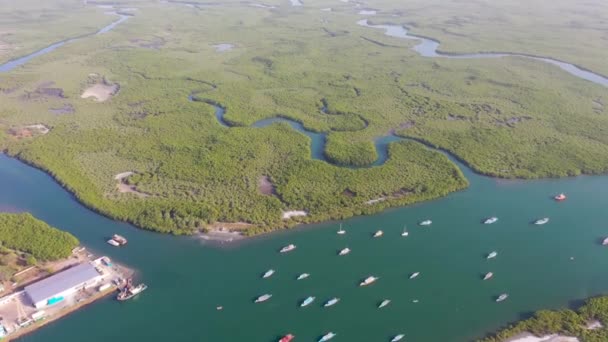 2020 Luchtfoto Boven Uitgestrekte Mangrove Moerassen Aan Gambia Rivier Gambia — Stockvideo