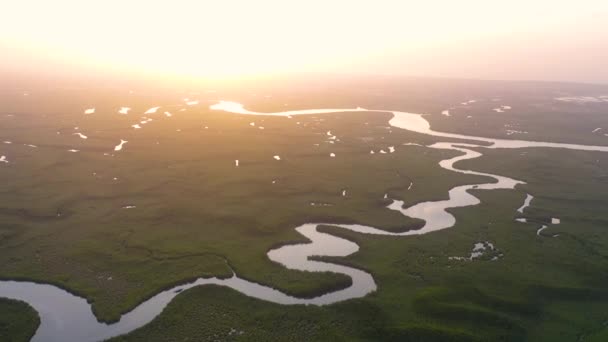 2020 Bella Aerea Piccola Barca Che Muove Lungo Fiume Gambia — Video Stock