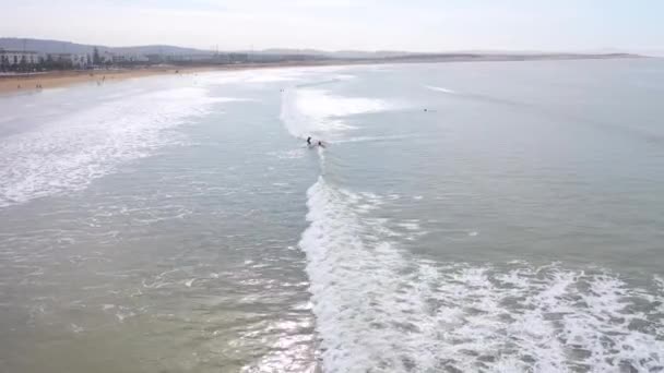 2020 Aerolínea Sobre Los Surfistas Disfrutando Las Olas Navegando Frente — Vídeo de stock