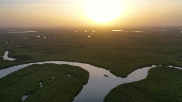 2020年 西アフリカのガンビア川沿いをマングローブ林と曲がりくねった曲がりを通って移動する小型ボートの上に美しい航空機 — ストック動画