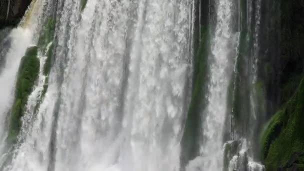 Salto Bossetti Parque Nacional Argentina Iguazu — Vídeo de stock