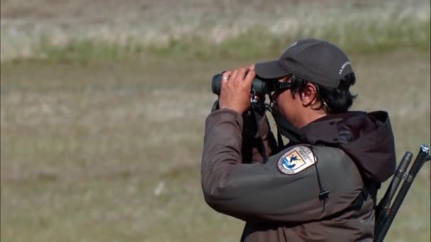 2015 Łowca Obserwuje Łosia Togiak National Wildlife Refuge Alasce — Wideo stockowe