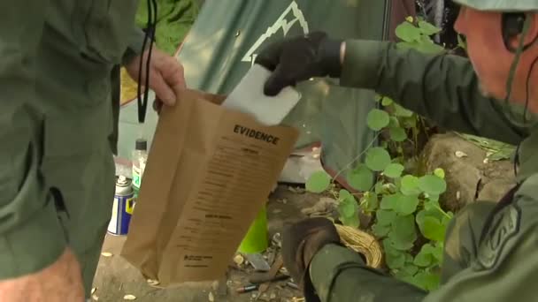 Agentes Federales Caminan Por Sitio Cultivo Marihuana Tierras Públicas Reúnen — Vídeo de stock