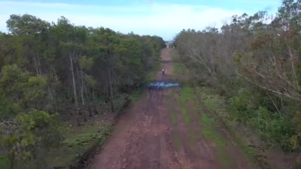2020 Dirt Bike Motorcycle Rider Drives Backroad Area Some Large — Stock Video
