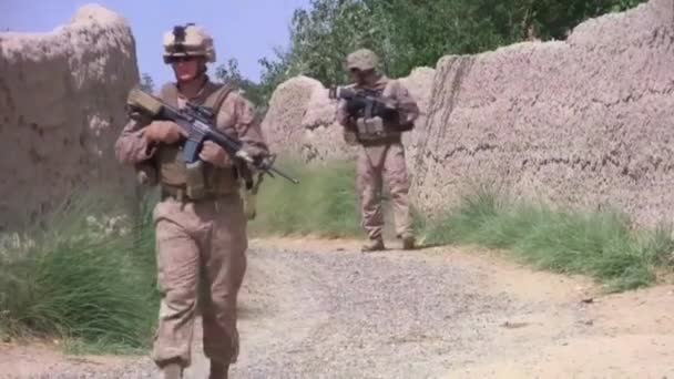 Marines Patrol Walk Fields Farmland Afghanistan Small Children — Stock Video