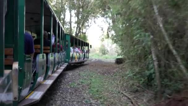 Turisttåg Argentinas Parque Nacional Iguazu — Stockvideo