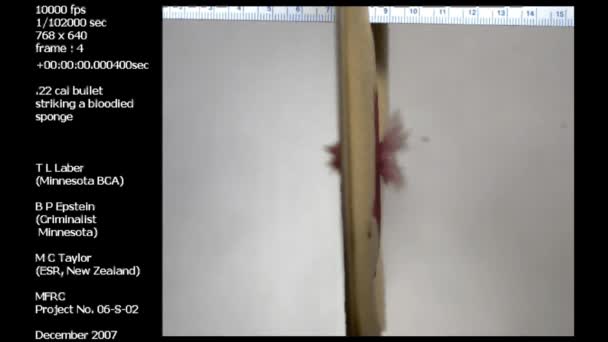 법의학 연구소에서는 뿌려진 스펀지를 몰려드는 탄환을 연구하고 — 비디오