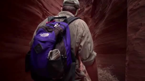 Tourists Admire Paria Canyon Arizona Rock Carvings Slot Canyons — Stock Video