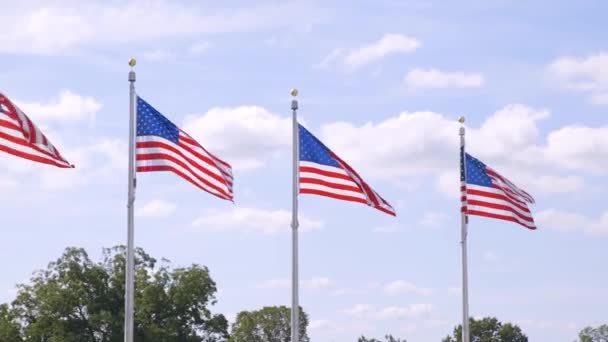 2019 メラニア トランプ夫人がワシントン記念碑を訪問し 式典での再開を祝う — ストック動画