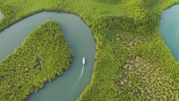 2020 西アフリカのガンビア川に沿って移動する小型ボートの上に素晴らしいトップダウン航空機 — ストック動画