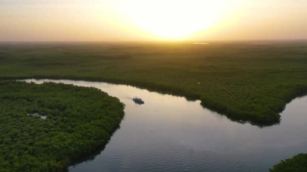 2020 Krásné Vzdušné Nad Malým Člunem Pohybujícím Podél Řeky Gambie — Stock video