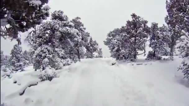 Sicht Des Skilanglaufs Auf Schneebedeckter Piste — Stockvideo