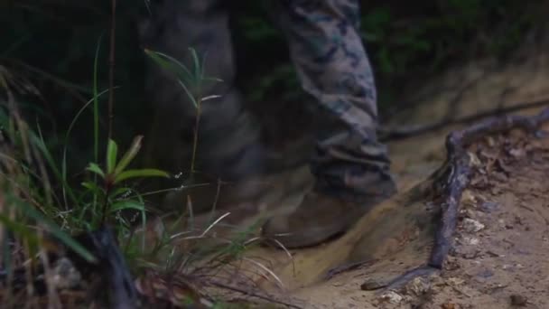 米軍は大規模なジャングル戦争訓練を受けている — ストック動画