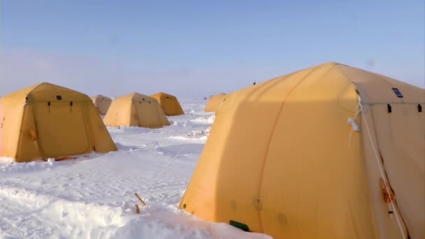 Tentes Recherche Dans Arctique Gelé — Video