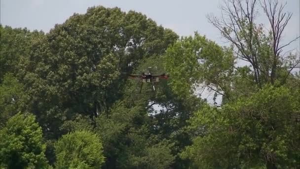 Menschen Fliegen Kleine Hobby Drohnen Zum Spaß — Stockvideo
