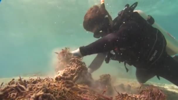 Mergulhadores Trabalham Para Remover Redes Pesca Emaranhadas Recifes Coral Perto — Vídeo de Stock