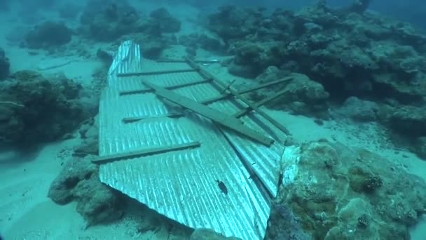 Daños Submarinos Causados Por Tsunami Masivo Que Azotó American Samoa — Vídeos de Stock
