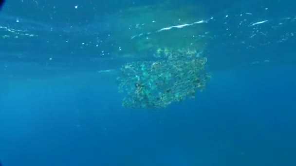 Podwodny Widok Pękniętą Sieć Która Może Usidlić Uwięzić Zwierzęta Morskie — Wideo stockowe