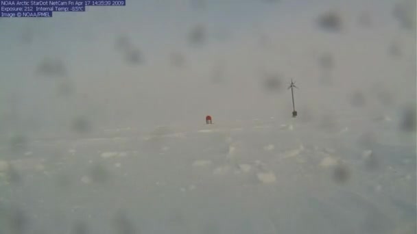 2009 Time Lapse Shots Noaa Ice Snow Accumulation Arctic — Stok Video