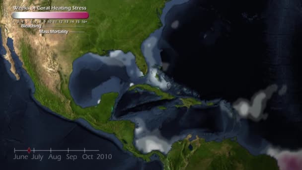 Une Visualisation Animée Destruction Des Récifs Coralliens Due Réchauffement Climatique — Video