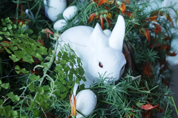 Lapin de Pâques et oeufs — Photo