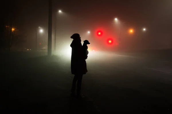 Mujer y perro silueta rayos de luz en la oscuridad — Foto de Stock