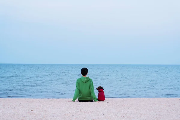 Denize bakan genç kadın ve köpek