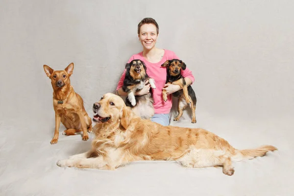 Junge Frau im rosa Pullover mit vier Hunden — Stockfoto