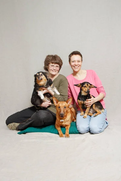 Junge und ältere Frau im rosa Pullover mit drei Hunden — Stockfoto